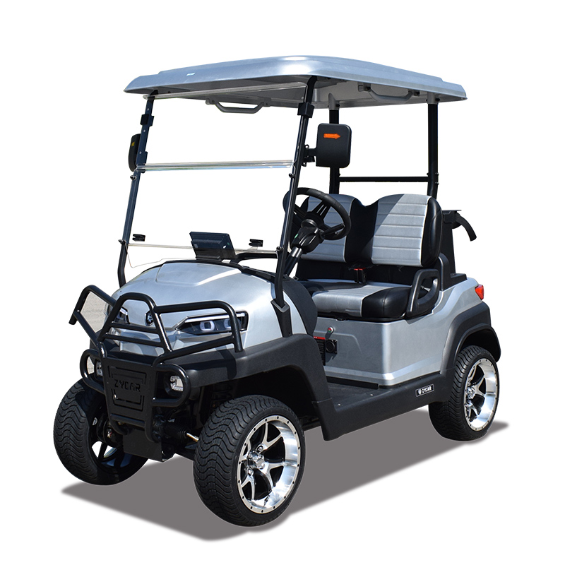 2 seater golf cart Z2 silvery