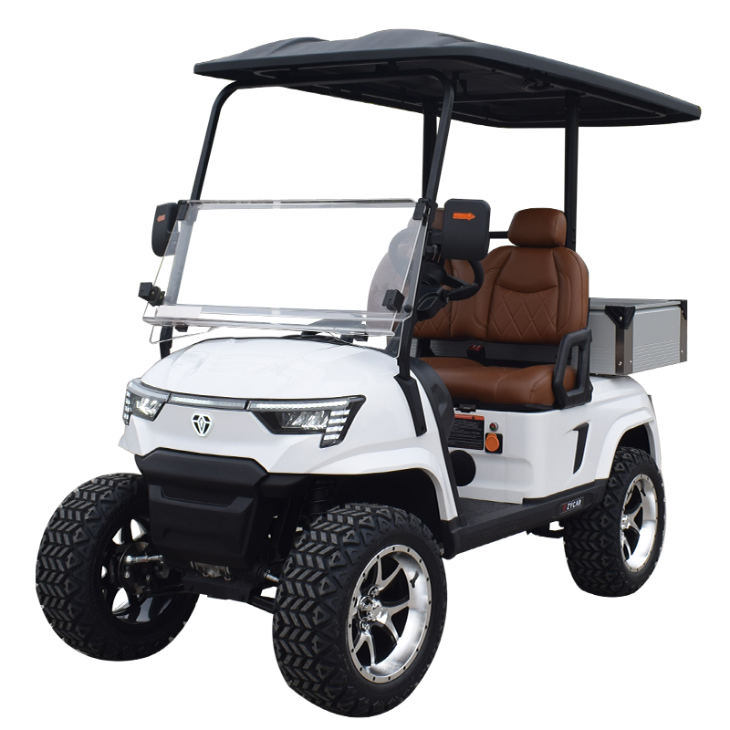 2 seater golf cart with cargo box E2B white